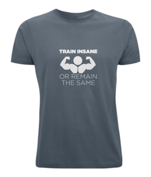 Train Insane or remain the same t-shirt from UK